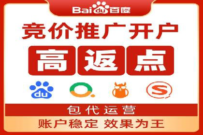 成功SEM代理案例：精准投放的策略